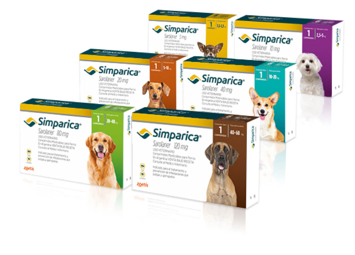 Simparica Antiparasitario para Perros - 1 Comprimido - 1,3 a 2,5 kilos