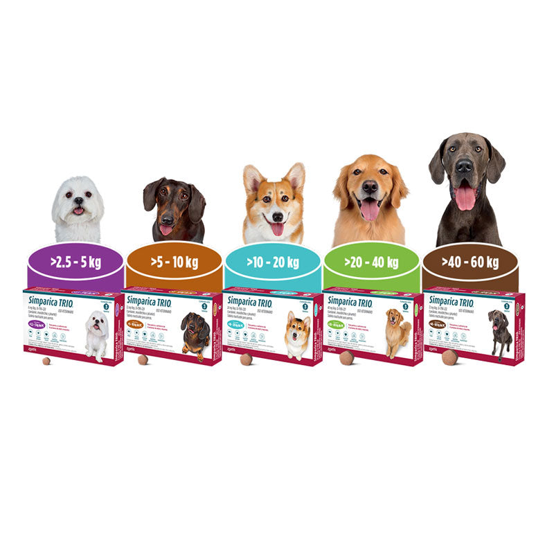 Simparica Trio Zoetis 3 Comprimidos