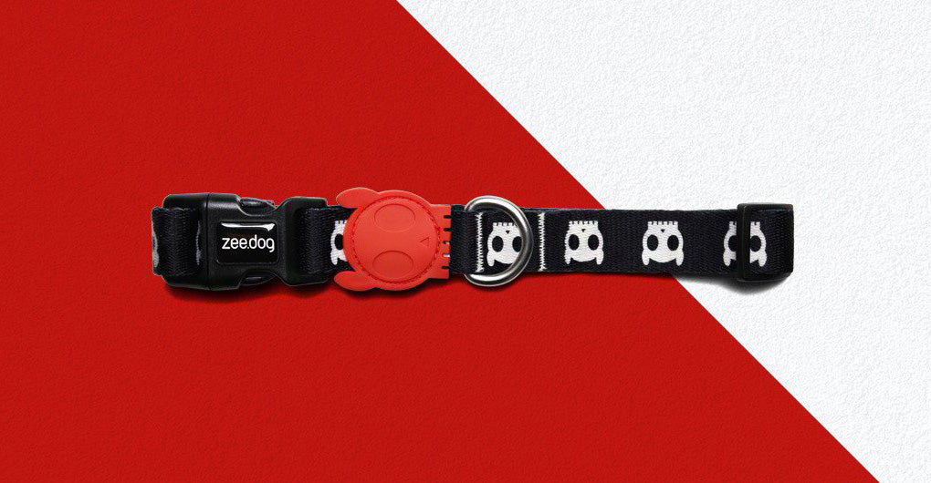 Collar para Perros "Skull" Zee.Dog - Small
