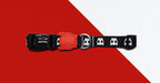 Collar para Perros "Skull" Zee.Dog