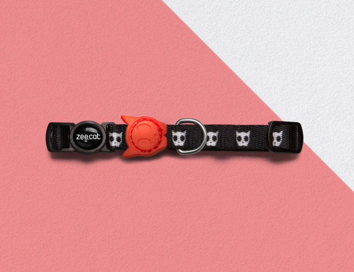 Collar para Gatos "Skull" Zee.Cat