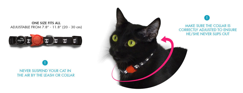Collar para Gatos "Skull" Zee.Cat