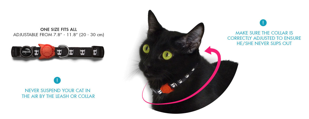 Collar para Gatos "Skull" Zee.Cat