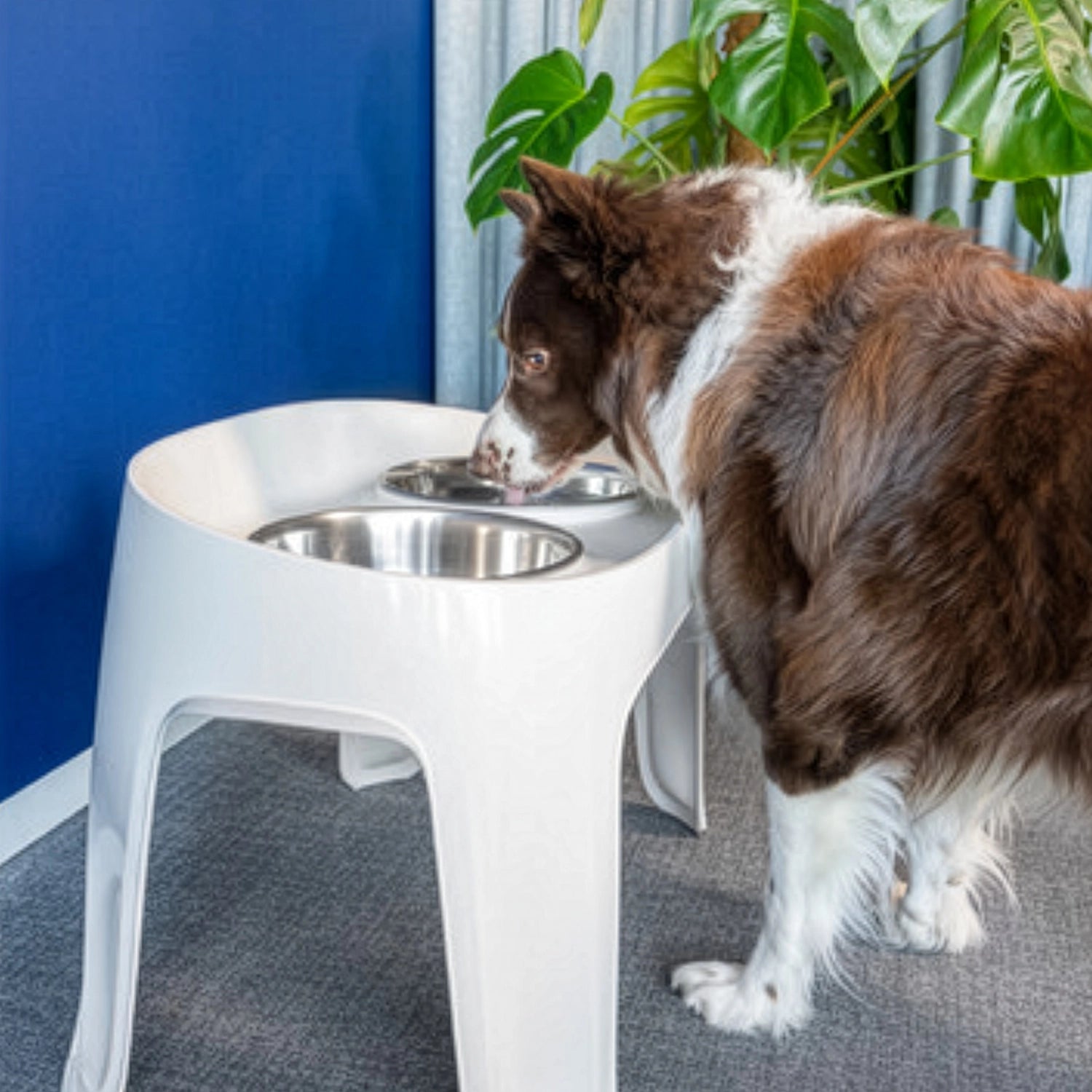 Comedero y Bebedero Elevado Skybar Moderna color blanco, soporte elevado con dos bowls de acero inoxidable para mascotas.