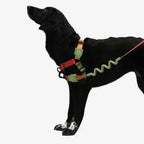 Arnés Anti Tirones "Soft-Walk" Bit Zee.Dog