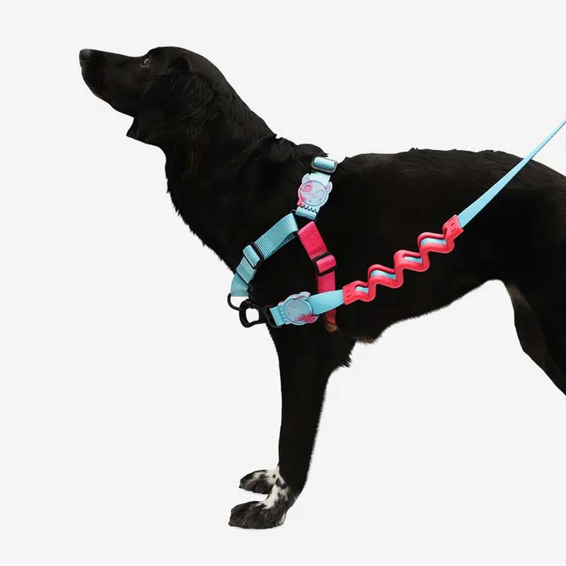 Arnés Anti Tirones "Soft-Walk" Hydra Zee.Dog