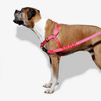 Arnés Anti Tirones "Soft-Walk" Pink Led Zee.Dog