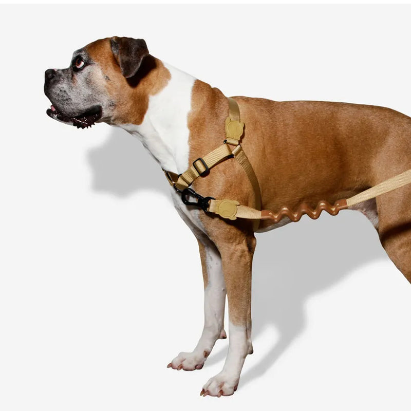 Arnés Anti Tirones "Soft-Walk" Sand Zee.Dog