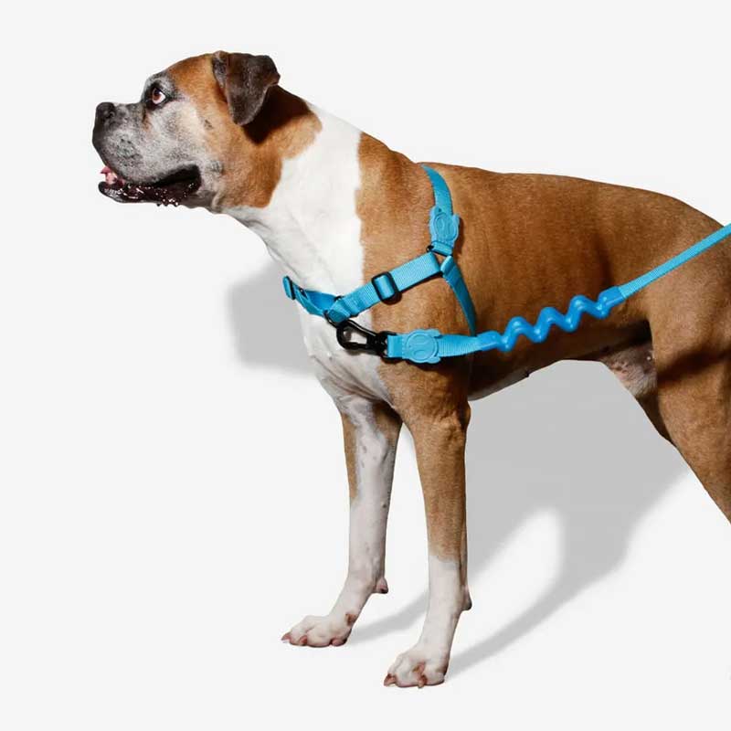 Arnés Anti Tirones "Soft-Walk" Ultimate Blue Zee.Dog