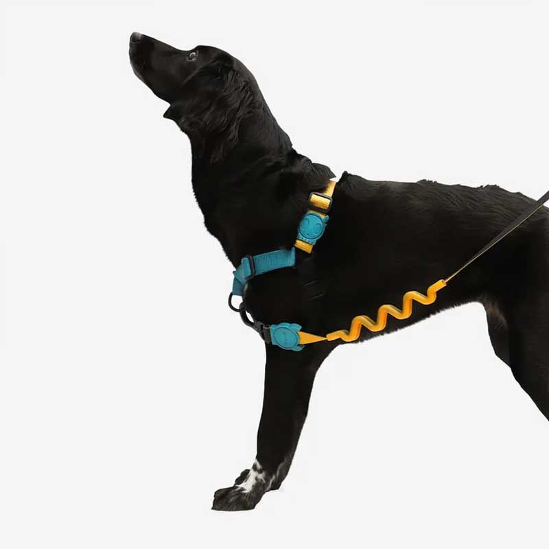 Correa Anti Tirones Ruff "Valley" Zee.Dog