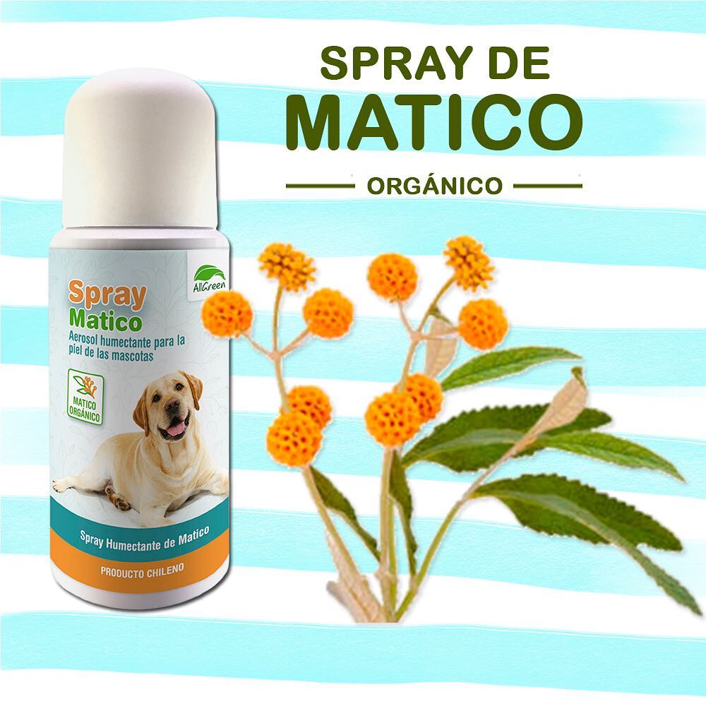 AllGreen Spray de Matico para Mascotas