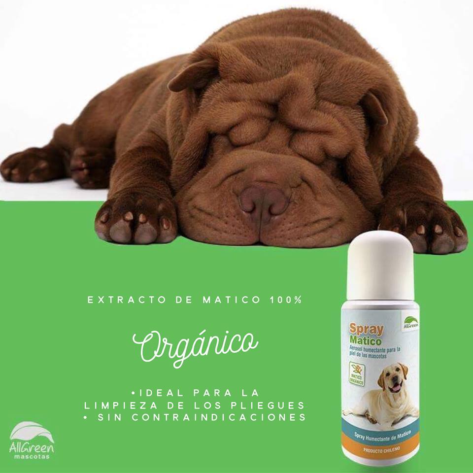 AllGreen Spray de Matico para Mascotas