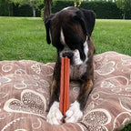 Snack Whimzees "Stix"