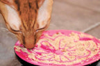 Plato "Lick Pad" para Alimento Húmedo de Gatos 
