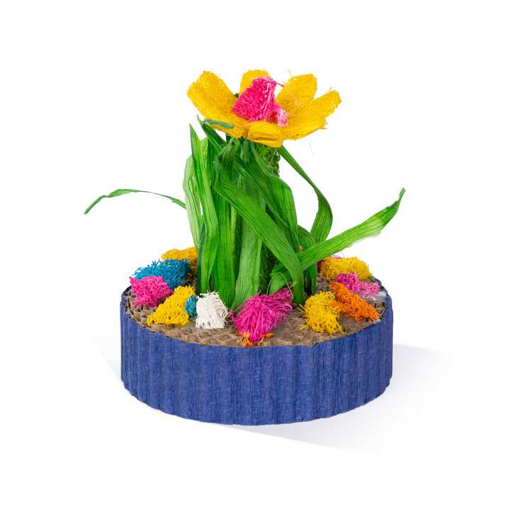 Mini jardín de suculentas