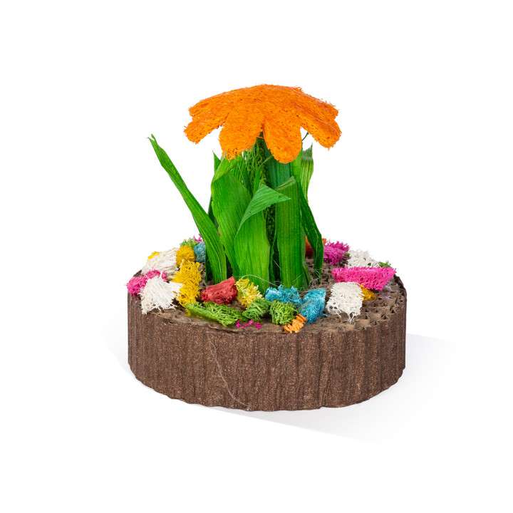 Mini jardín de suculentas