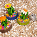 Mini jardín de suculentas