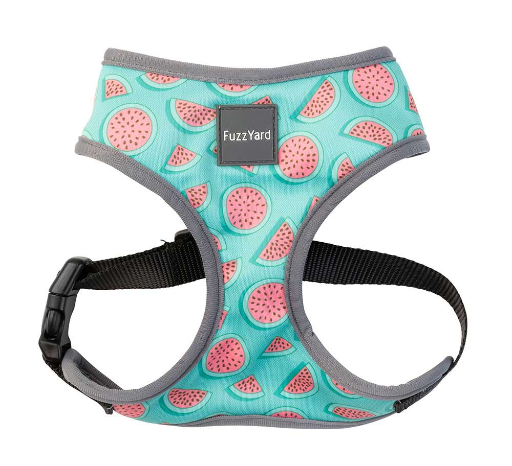 Arnés para Perros "Summer Punch" Fuzzyard