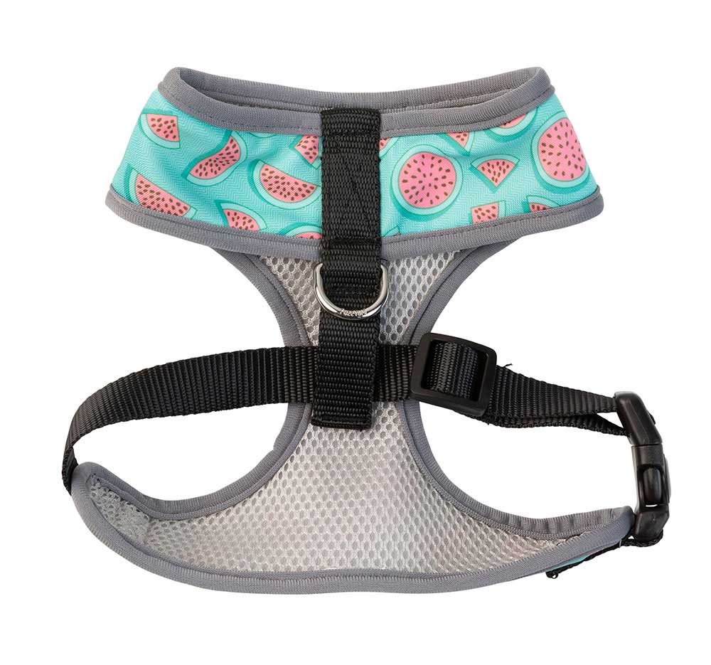 Arnés para Perros "Summer Punch" Fuzzyard