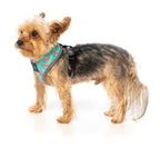 Arnés para Perros "Summer Punch" Fuzzyard