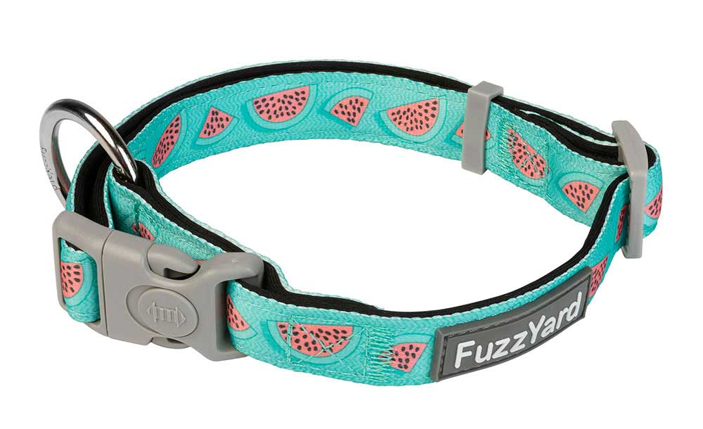 Collar para Perros "Summer Punch" Fuzzyard