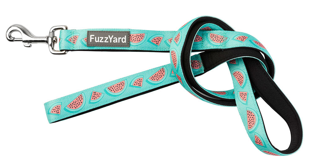 Correa para Perros "Summer Punch" Fuzzyard - S/M