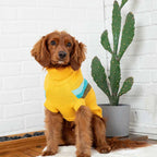 Sweater Alpine Amarillo - XS