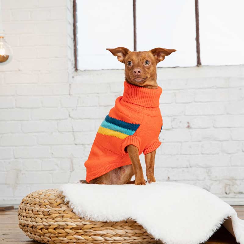 Sweater Alpine Naranja - XS