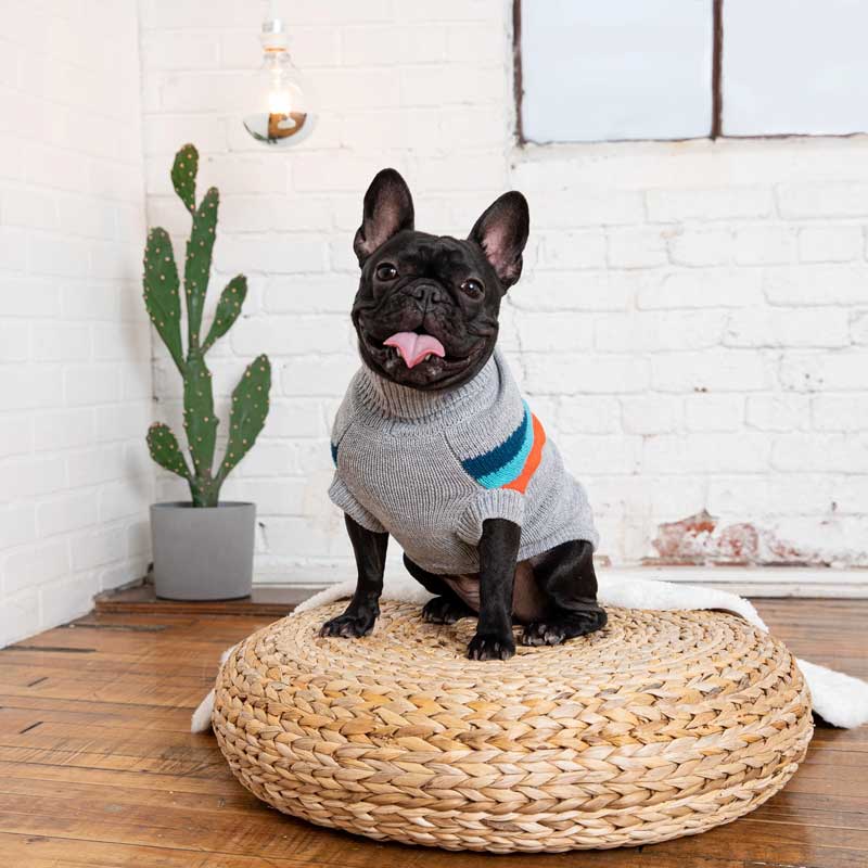 Sweater Alpine Gris - XS