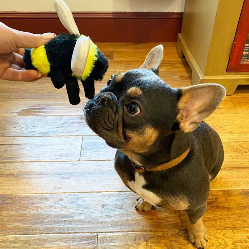 Peluche Abeja con Sonido Tall Tails