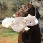 Peluche Ardilla Voladora con Sonido y Cuerda Interior Tall Tails