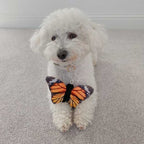 Peluche Mariposa con Sonido Tall Tails