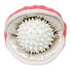 Peluche Ostras con Perla con Sonido Tall Tails