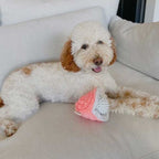 Peluche Ostras con Perla con Sonido Tall Tails