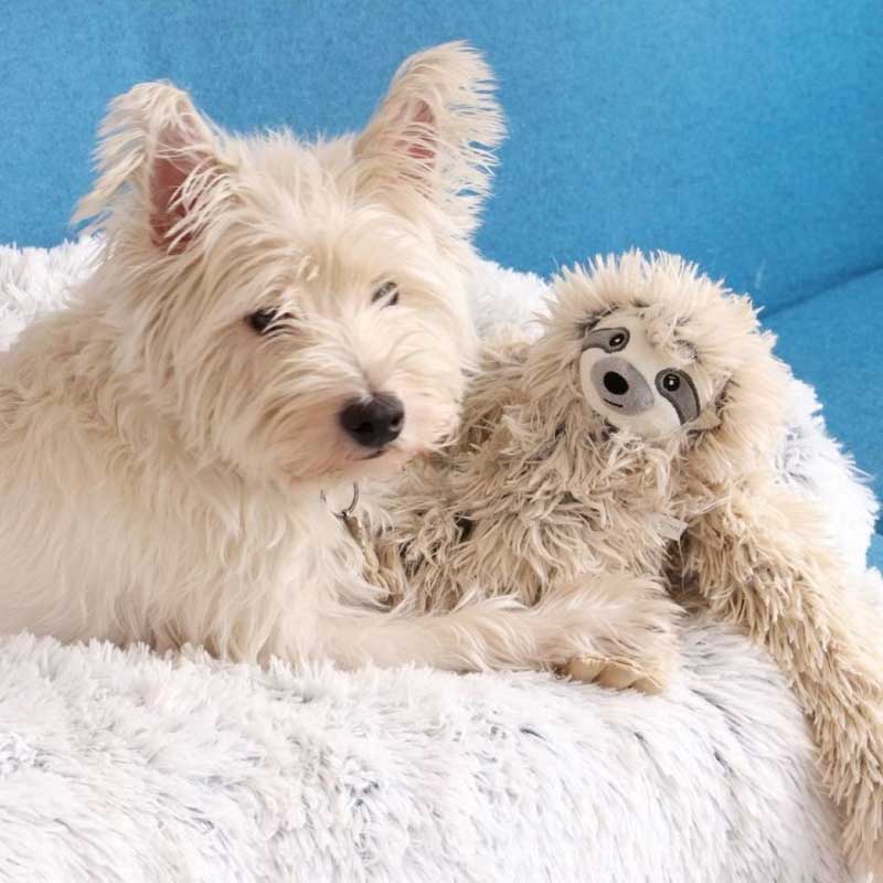 Peluche Oso Perezoso con Sonido y Cuerda Interior Tall Tails