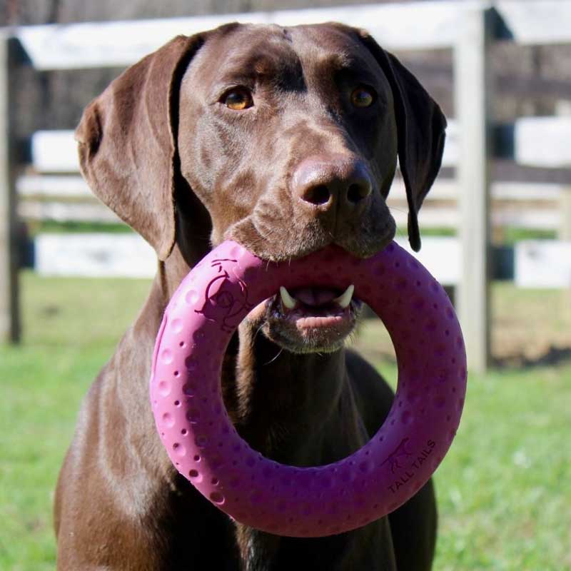 Juguete Anillo de Caucho Natural Tall Tails