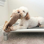 Peluche Ardilla Sin Relleno con Sonido y Cuerda Interior Tall Tails