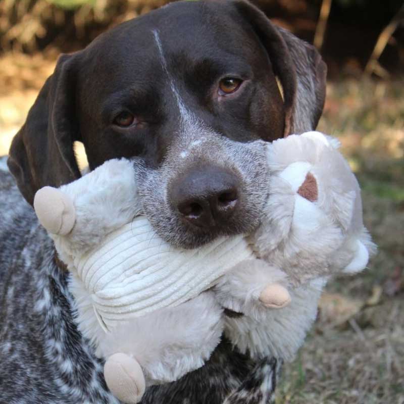 Peluche Ardilla Animada Tall Tails