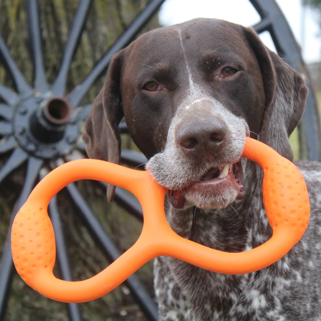 Beco Juguete de Goma Natural para Tirar Rubber Tug, juguete naranja en forma de ocho para perros, resistente y flexible