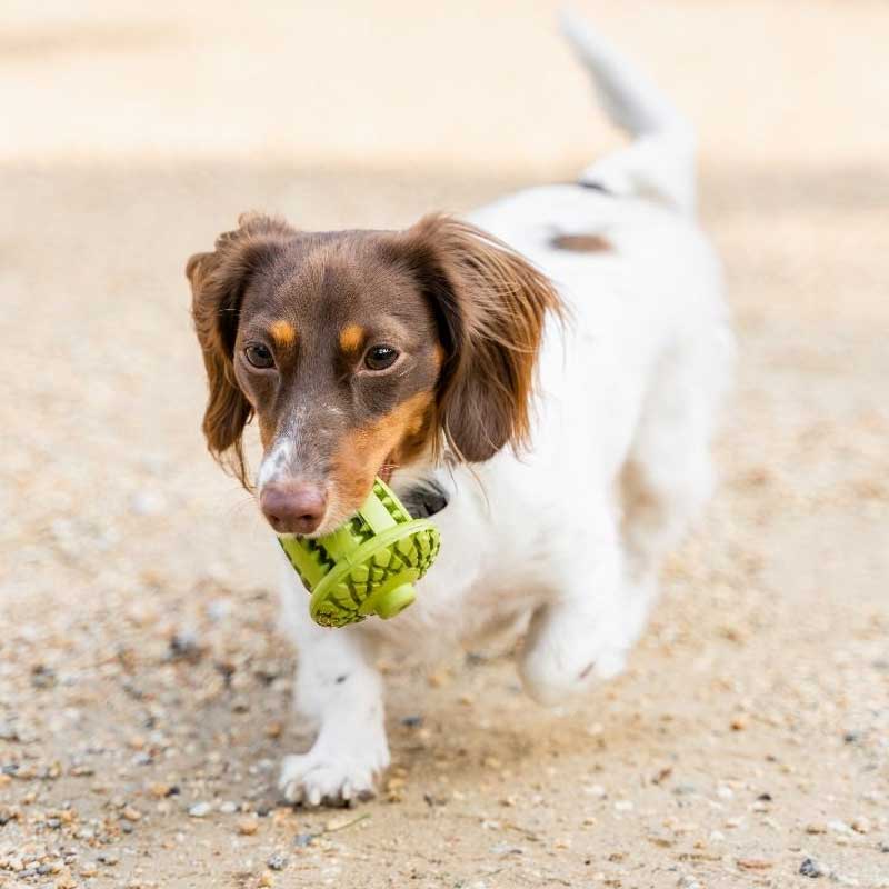 Juguete Bellota de Caucho Natural Tall Tails