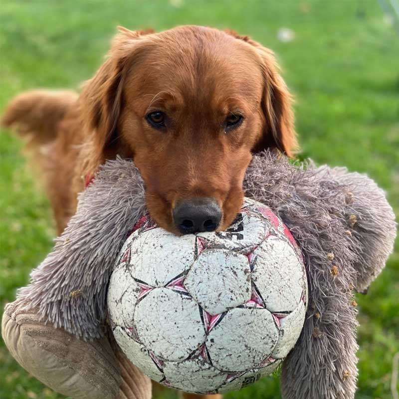 Peluche Pie Grande con Sonido y Cuerda Interior Tall Tails