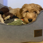 Cama "Bolster" Tall Tails color Charcoal para perros, cama acolchada gris con bordes altos y centro suave afelpado