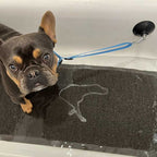 Correa de Baño con Ventosa Tall Tails