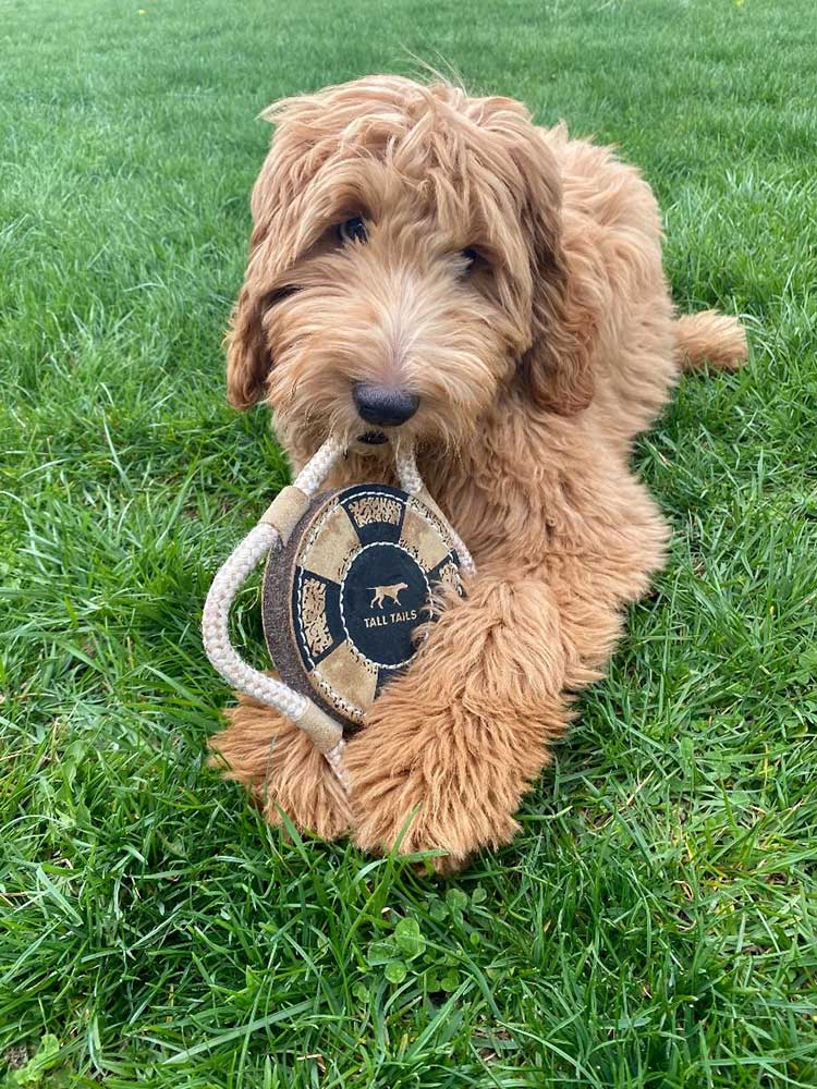 Juguete Salvavidas de Cuero Natural Tall Tails