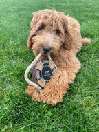 Juguete Salvavidas de Cuero Natural Tall Tails