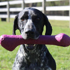 Juguete Hueso de Caucho Natural Tall Tails