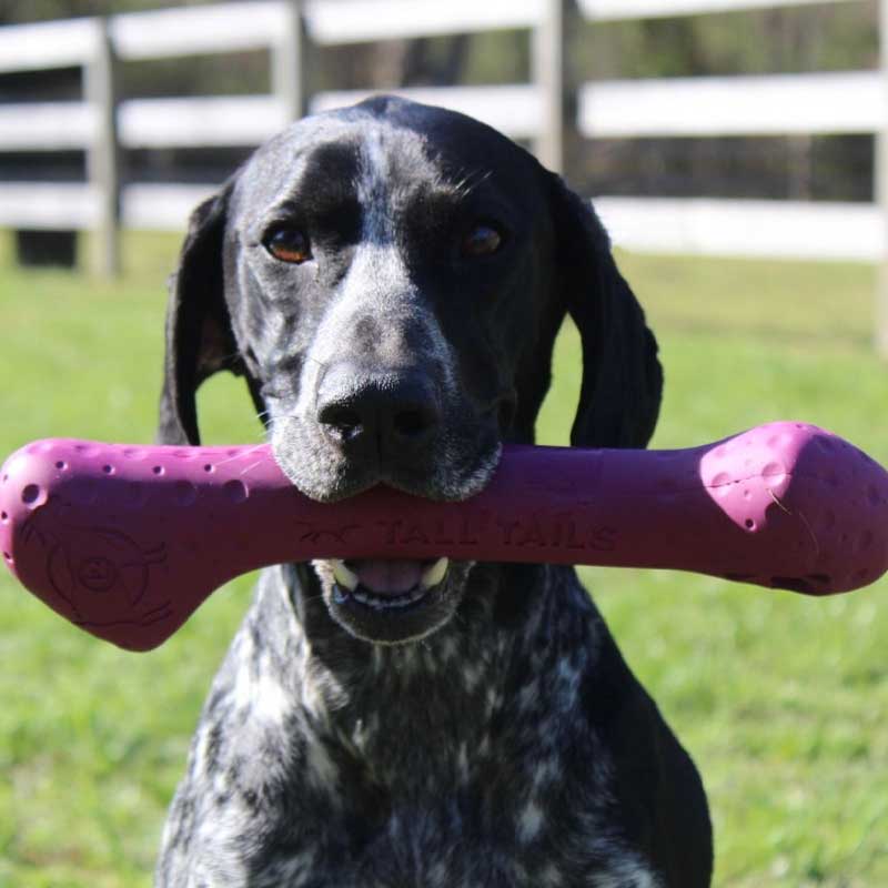 Juguete Hueso de Caucho Natural Tall Tails
