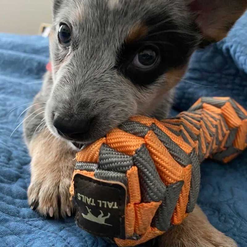 Juguete Hueso Trenzado Naranjo Tall Tails 22,5 cm