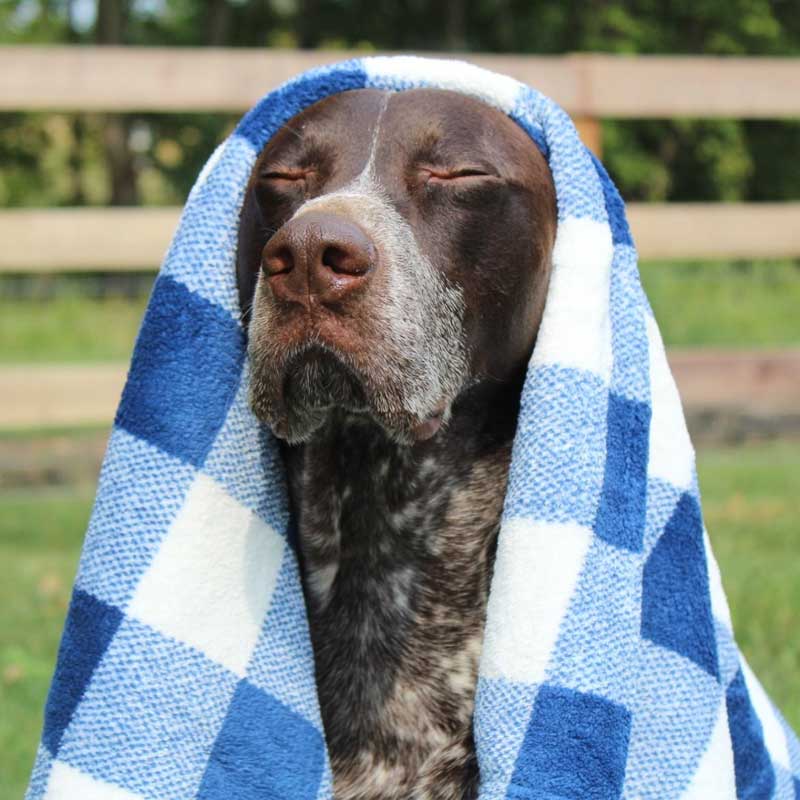 Manta para Mascotas "Navy Hunter" Tall Tails