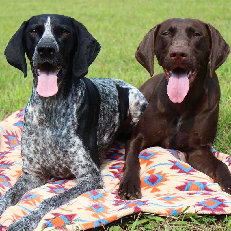 Manta para Mascotas "Southwest" Tall Tails